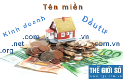 NHỮNG LÝ DO KHIẾN BẠN KHÔNG KIẾM ĐƯỢC TIỀN TỪ TÊN MIỀN